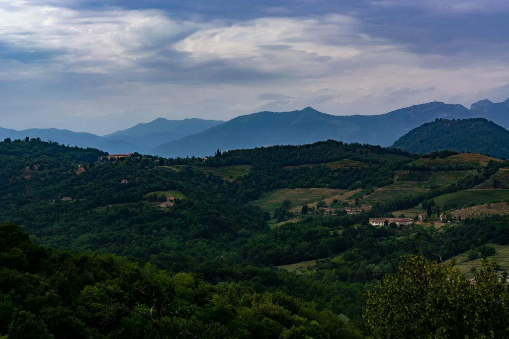 Hills, vineyards and woods in Montevecchia and Curone Valley Park