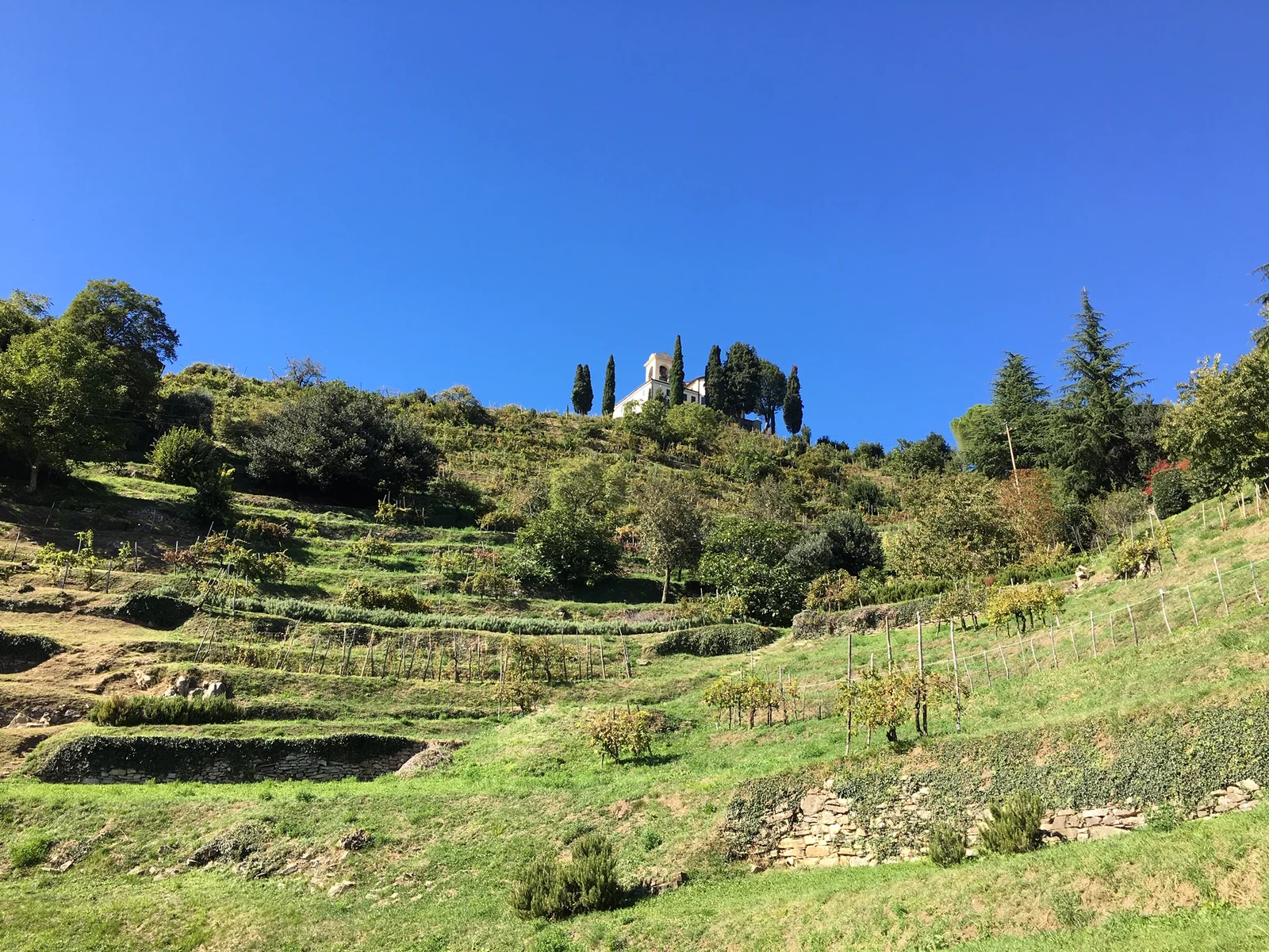Montevecchia’s sanctuary above cultivated slopes